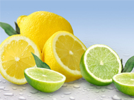 ����ת�ƺ��������覴���δ�����