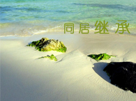 ͬ���ڼ�һ����������һ���ɷ�̳�