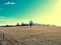 �ɷ�֪�鸧������������ʮ���꣬�����άȨ