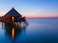 ���֤�����޸������� | ��͢˵��