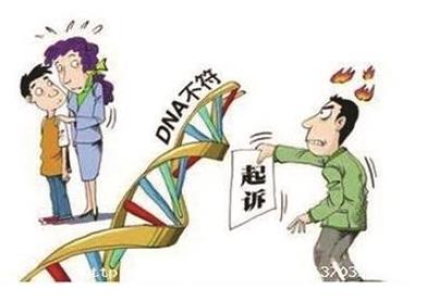 ��龫�����⳥