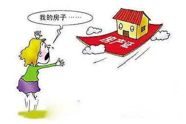 二手房地产纠纷